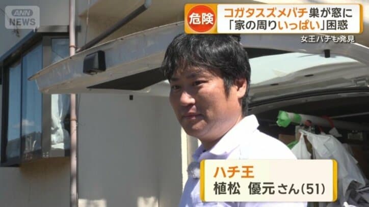 12年間で約1200個の巣を駆除