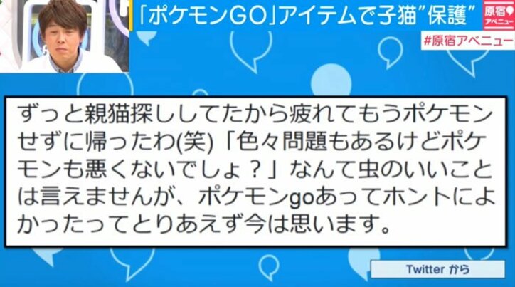 ポケモンgo で子猫の命を救ったいい話がネット上で話題に その他 Abema Times