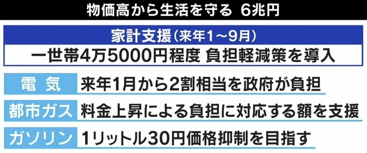 「消費税・未来永劫10%では…」増税? 政府税調で委員が危機感 ひろゆき氏「税金をとらない方が稼ぐ若者が増える」