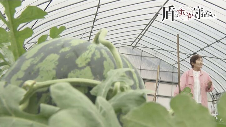 上陸できなかったイージス・アショア 地元に残った不信感、分断、イノシシよけの電気柵…