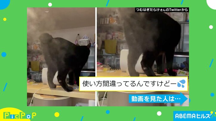 “じょうき”を逸した加湿器の新しい使い方に「サ、サウニャ!?」驚きの声