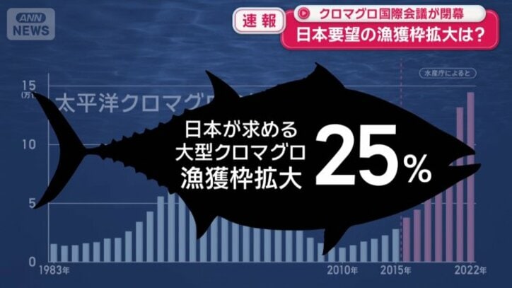 漁獲枠を25％拡大する案を主張