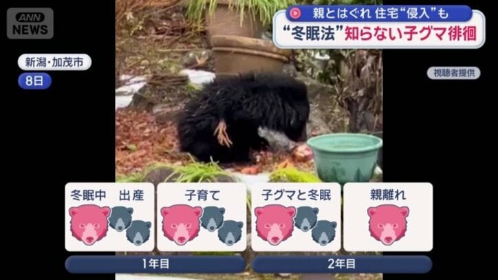 1年半ほど親子で行動