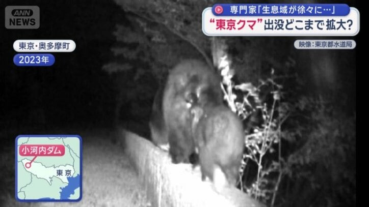 2023年　奥多摩町の小河内ダム