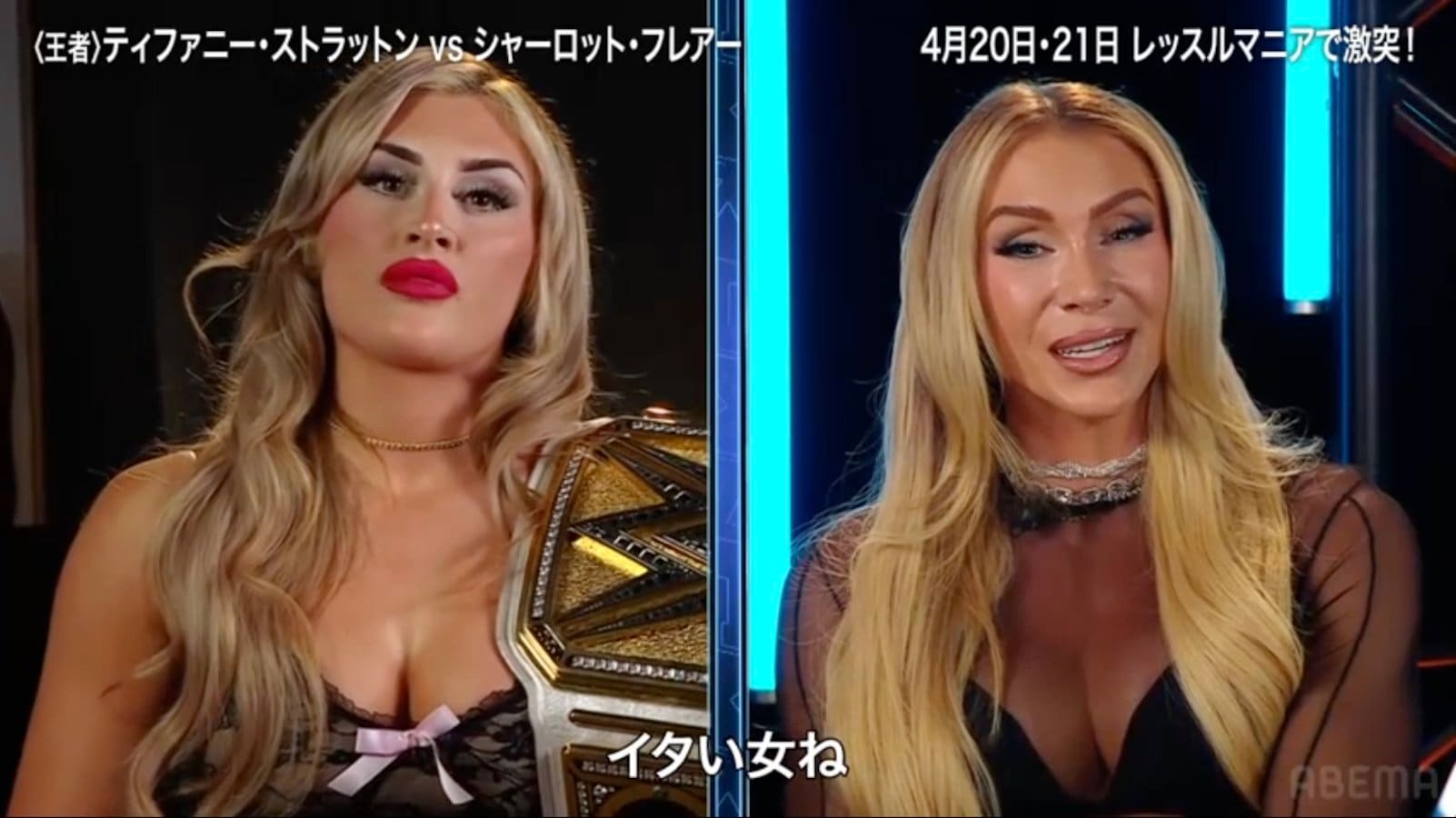 秋本奈緒美ヌード 