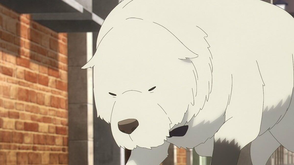 気分爽快、強烈ドロップキック！「SPY×FAMILY」番犬ボンドの活躍シーン