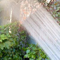 堀ちえみ『か弱い私（笑）』