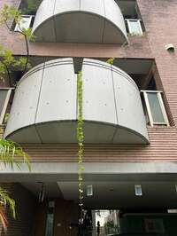 キャシー中島『ハルコとじいじとばぁば』