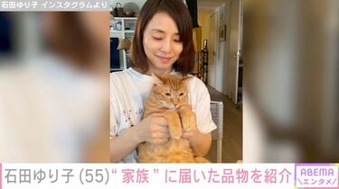 生活感あふれるおしゃれな自宅が話題・石田ゆり子（55）、愛猫に届いた