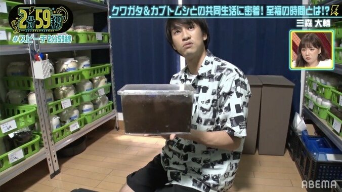クワガタ・カブトムシ1000匹を飼育する芸人の自宅に潜入！虫への愛に千原ジュニア仰天 2枚目