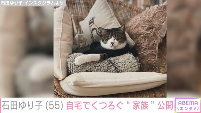 【写真・画像】生活感あふれる自宅が話題・石田ゆり子(55)インテリアでくつろぐ“家族”公開「やはりセンスいい」「絵になるなぁ」などの反響　2枚目