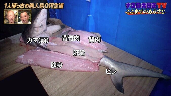 ナスD、サメの「不老不死」理論を提唱！ 独自の見解に現場スタッフの反応は 2枚目