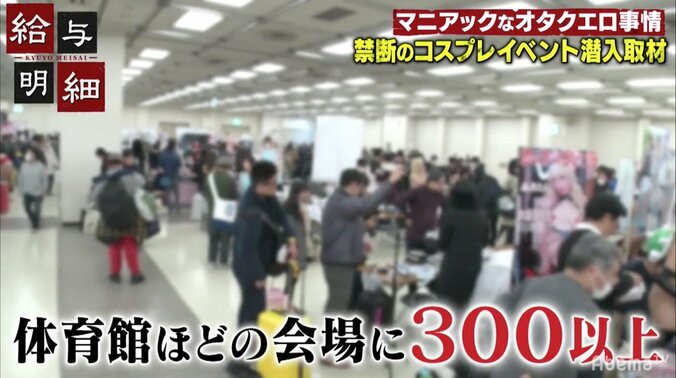 あられもない姿を披露しても赤字！？　18禁コスプレイベントに女性レイヤーが出展するワケとは 3枚目
