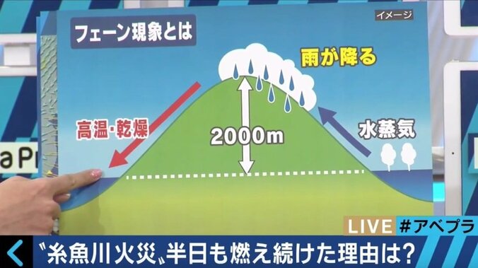 「震えが止まりません…」 糸魚川大火、涙ながらに証言 3枚目