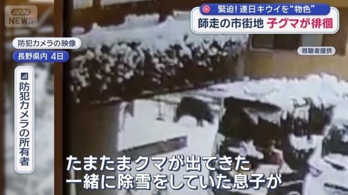 除雪しているところにクマ出没