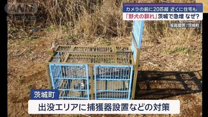 設置された捕獲器