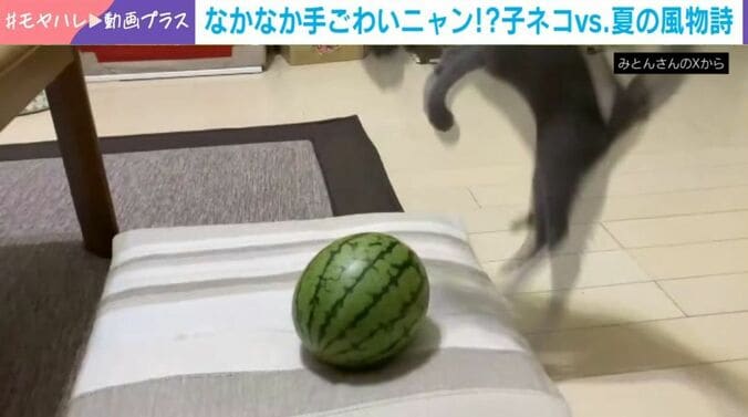 とあくん