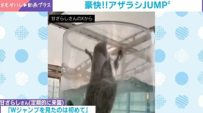 ハマちゃんとヒカルくん