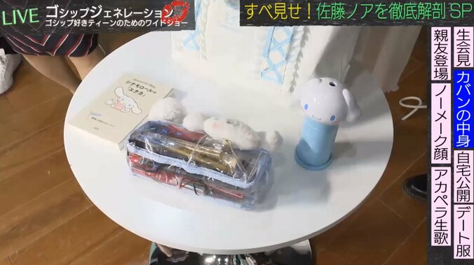 佐藤ノア、カバンの中身大公開　食べるおやつは酒飲み予備軍「ケーキより砂肝」 2枚目