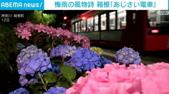 神奈川・箱根町