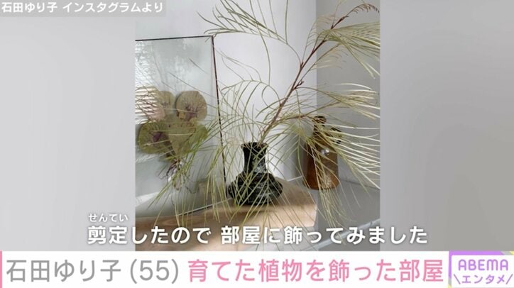 【写真・画像】生活感あふれる自宅が話題・石田ゆり子(55)テラスで育てた植物を飾った部屋　2枚目