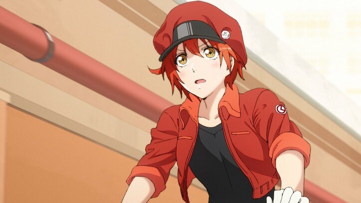 体内細胞擬人化マンガ はたらく細胞 Tvアニメ化決定 7月から放送開始 ニュース Abema Times