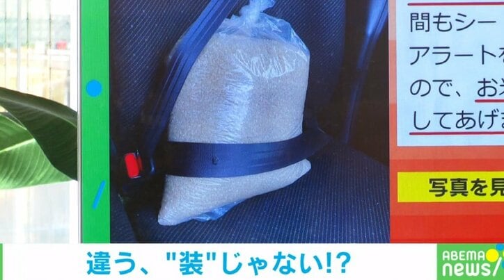 助手席に積んで運搬していたら…「助手席の人間もシートベルトをしろ!」アラートが鳴りまくる→お米にさせました