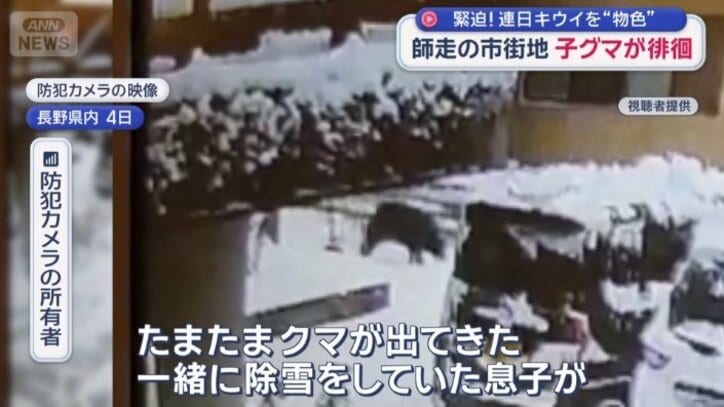 除雪しているところにクマ出没