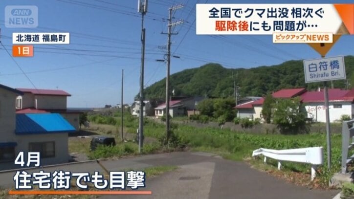 北海道南部の福島町では4月、住宅街でも目撃