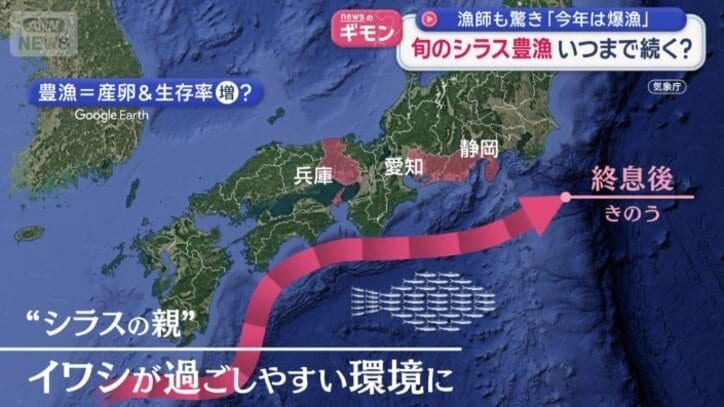 イワシが過ごしやすい環境が広がった