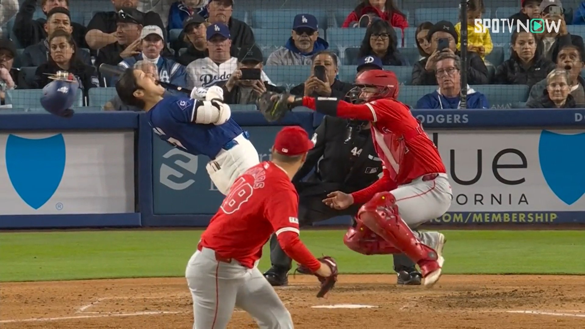 22号HR 6勝目大谷翔平 ユニフォーム LAエンゼルス MLB公式 S