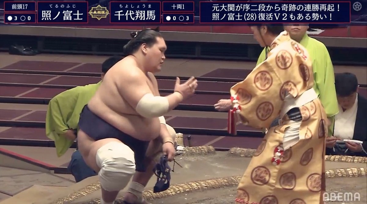メル55507です。照ノ富士 2点 メル55507です。照ノ富士 2点 メル55507です。照ノ富士 2点