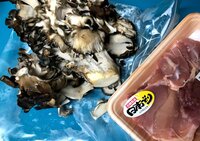 ニッチェ 江上敬子『申し訳ないので炊き込みご飯！』