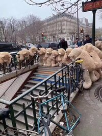 中村江里子『かわいすぎて・・・ほっこり』