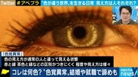 色覚異常の当事者が語る"色が違う世界"とは?
