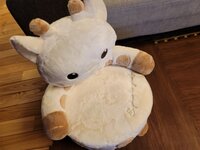 高橋英樹『よ～く ! 見てきました が !』