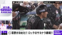 【映像】物議を醸す！審判の「映像なし」衝撃発言
