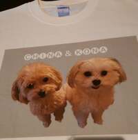 秋野暢子『泣かされるプレゼント』