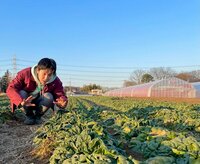渡辺裕太『旬のほうれん草に囲まれて。それとコロナのお話。』