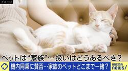 飛行機のペット同乗に賛否 機内トラブルや緊急時どうする？ 落としどころは