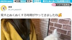 女性の上着に入り込む犬 すっぽり収まり嬉しそうな姿に「これになりた（ゲフン」「ばりかわいい！」130万回再生