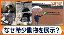 三重に希少動物の宝庫　「小さな動物園」再生物語　園長は野生動物飼育スペシャリスト