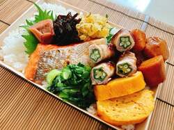  渡辺美奈代、手作りの弁当を公開「栄養バランスバッチリ」「美味しそう」の声 