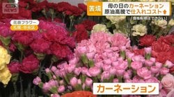 「母の日」のカーネーションにも中東情勢の暗い影　原油高騰で仕入れコストアップ