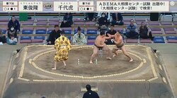 「俊敏な人」縦横無尽！土俵上を動き回る大忙しの展開に「これは行司さん大変」「トムとジェリーみたいな」驚きの声