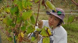 15年カメラと見つめた「ゼロからつくった街」