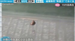 無重力状態でふわ～り…“謎”の生物が「フリーザが乗ってそう」と話題