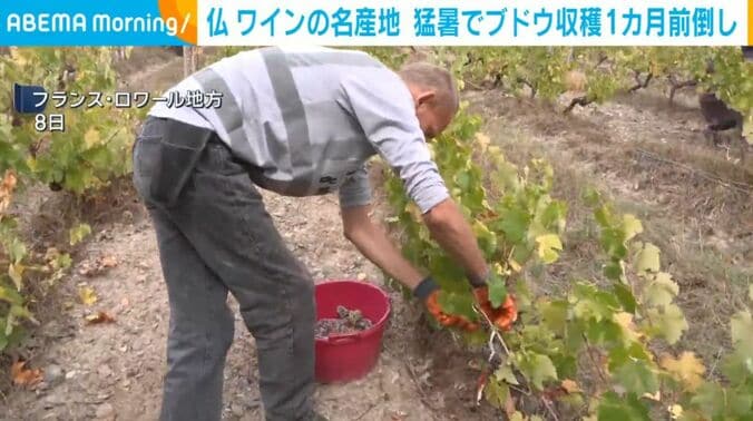 フランス・ロワール地方