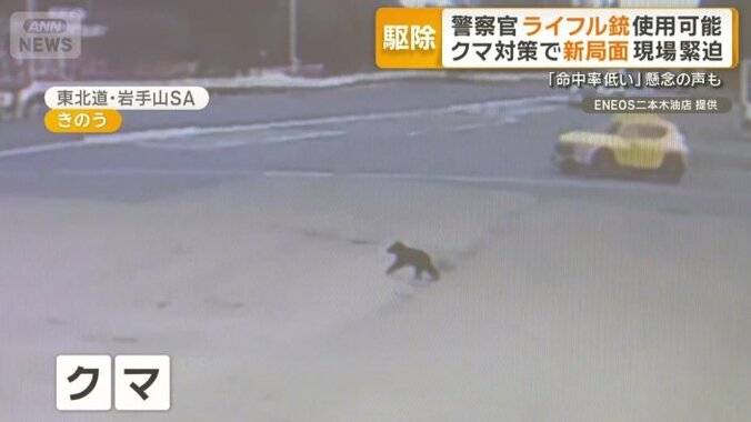 岩手のサービスエリアに現れたクマ