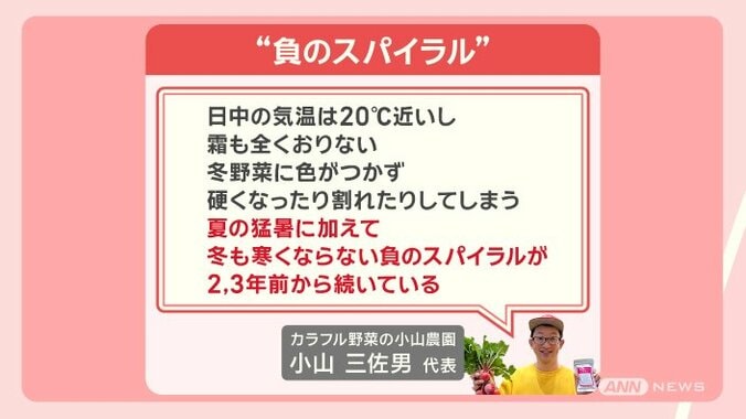 この冬 記録的大雪の可能性も！海水温上昇が招く異常気象 伊豆の海は南国化 21枚目